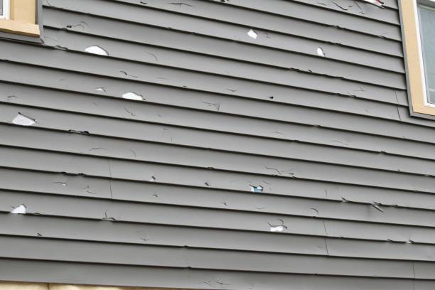 Best Demolition Debris Removal  in Milton, LA